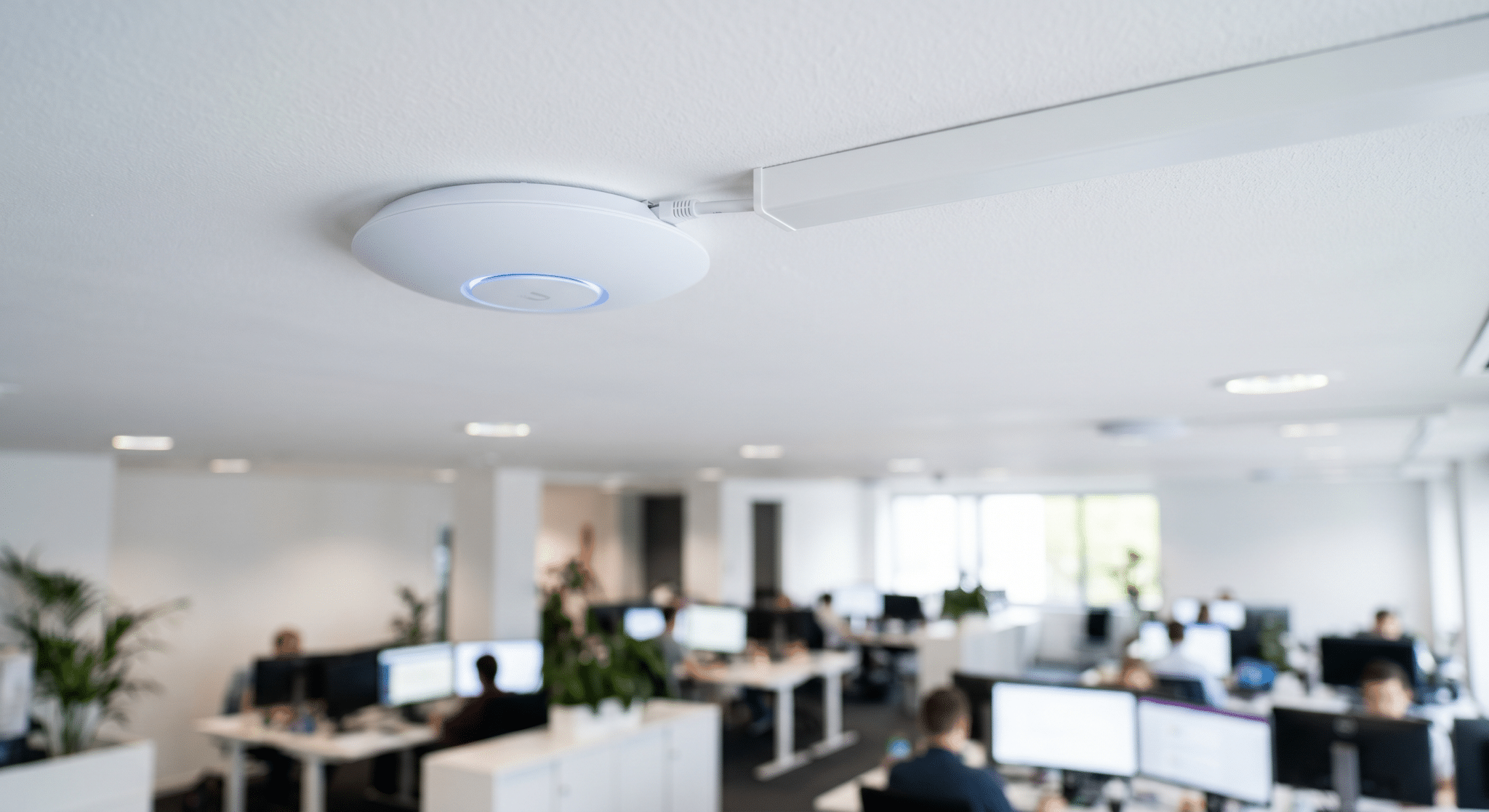 WiFi access point irodai mennyezeten – WiFi telepítés Vindexium Gyula Békéscsaba